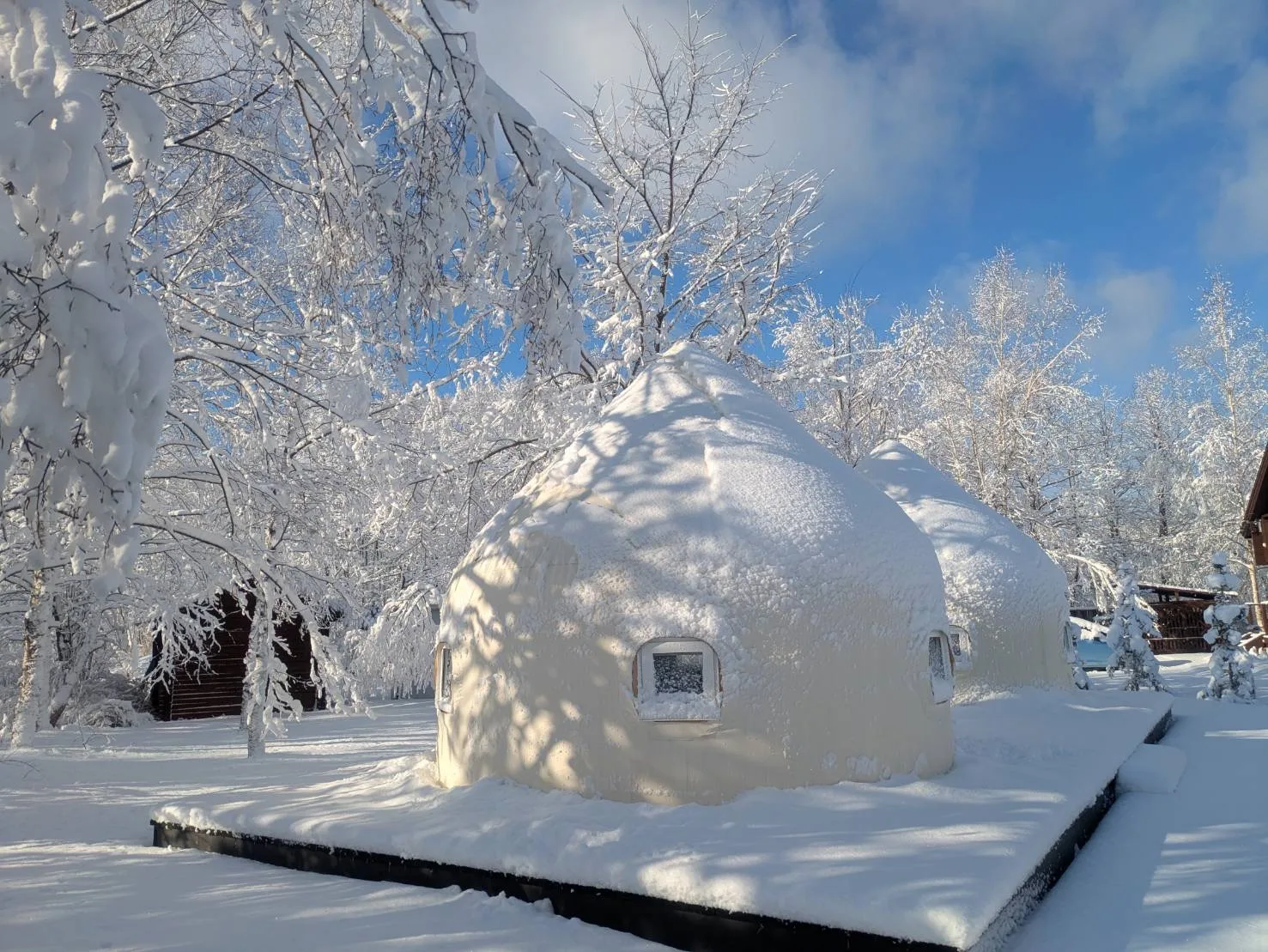 インスタントハウス