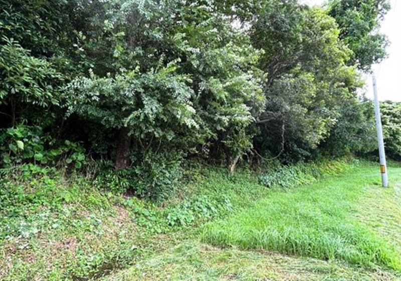 大山 P07 土地 Before